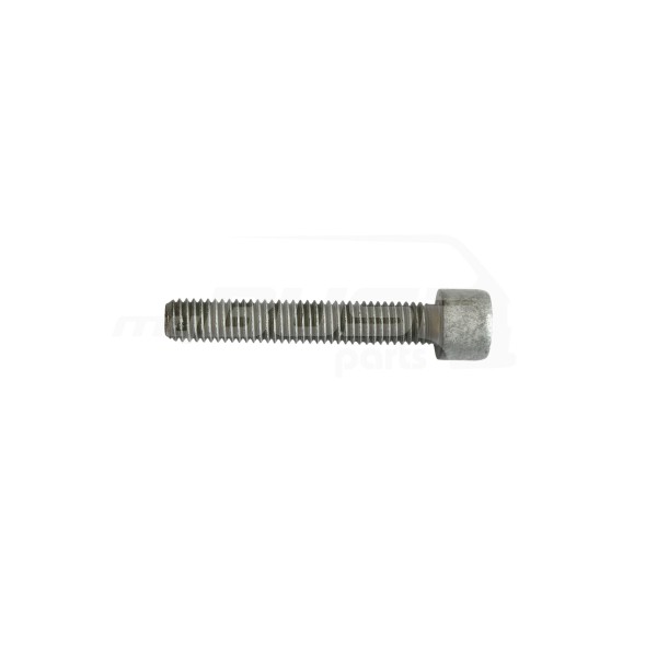 multi point screw for motor shaft compartible for VW T3